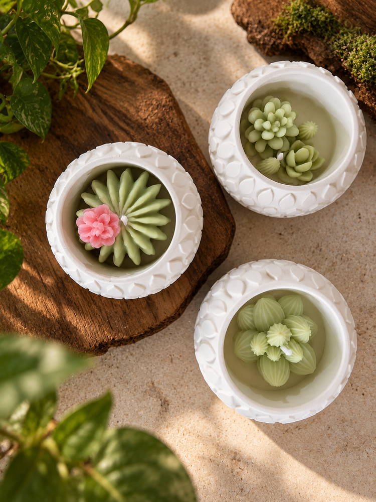 Composição de velas inspiradas em cactos e suculentas em recipientes brancos.