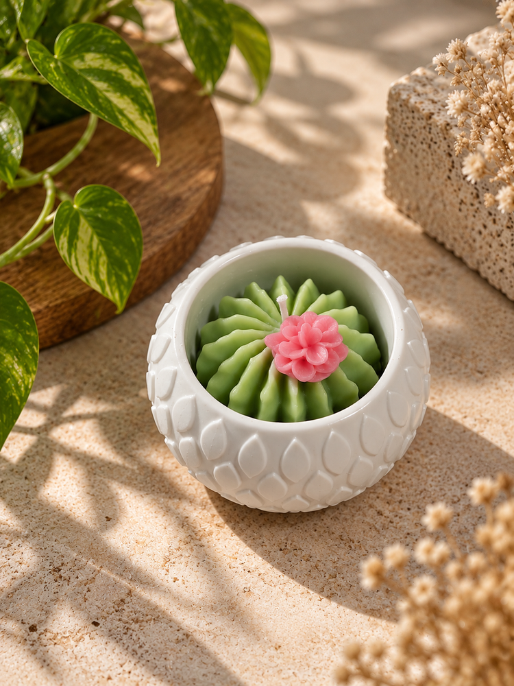 Vela Terrário Cacto com Flor
